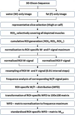 Advanced Analysis of the Water/Fat Distribution in Skeletal Muscle Tissue Using Magnetic Resonance Imaging in Patients With Neuromuscular Disease